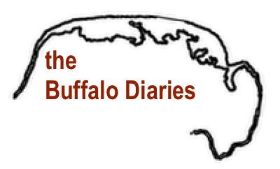 Buffalo Diaries