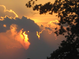 Sunset at Day Lily Festival