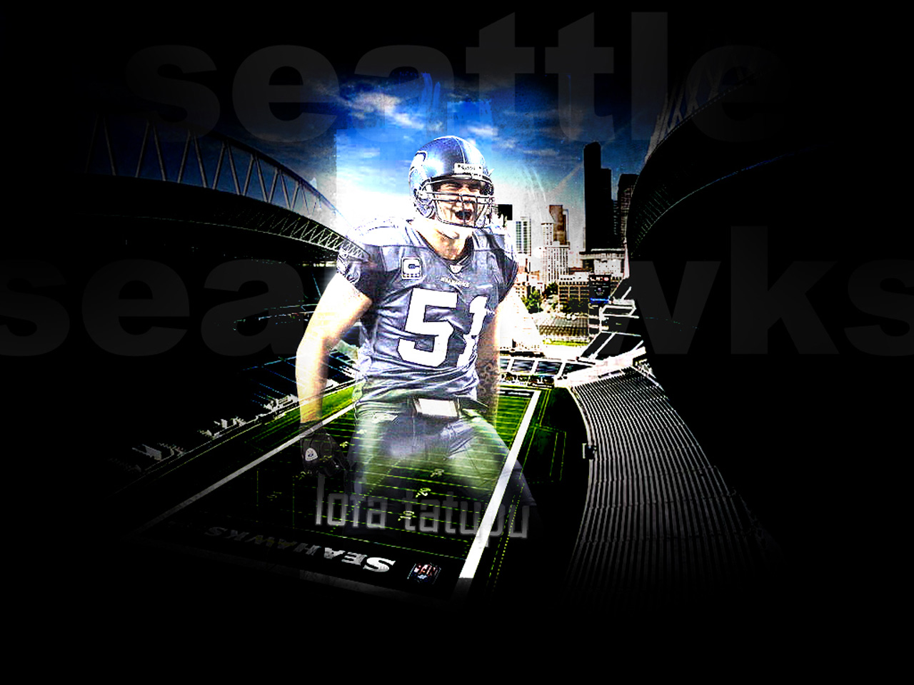 nfl wallpaper zone - www.high-definition-wallpaper.com