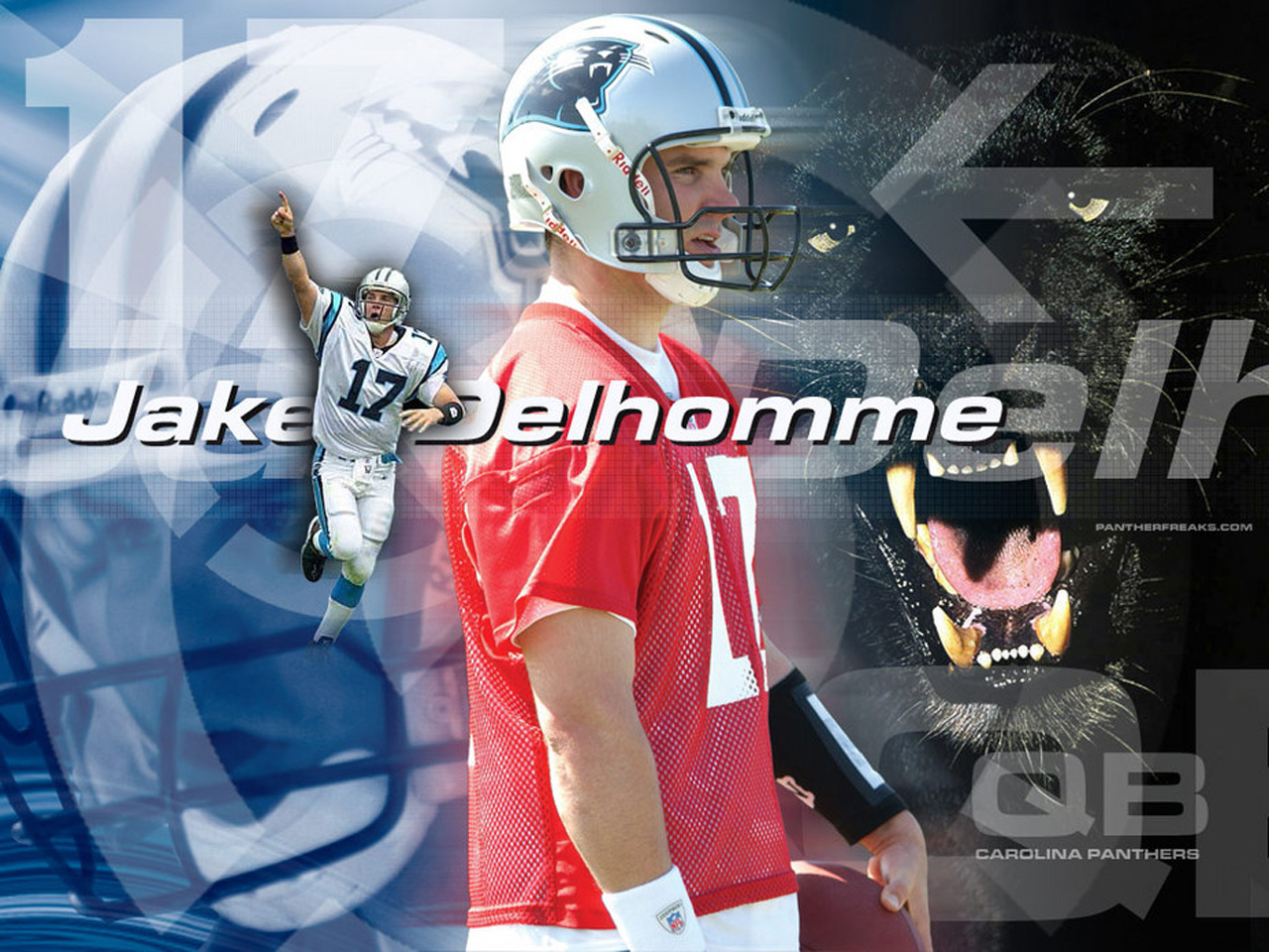 nfl: Delhomme Jake, Panthers wallpaper