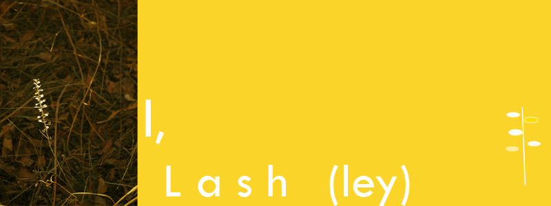 I, Lash(ley)