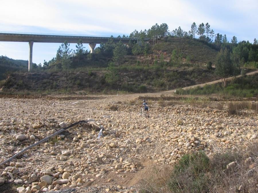 [Transpinhal_177P.jpg]