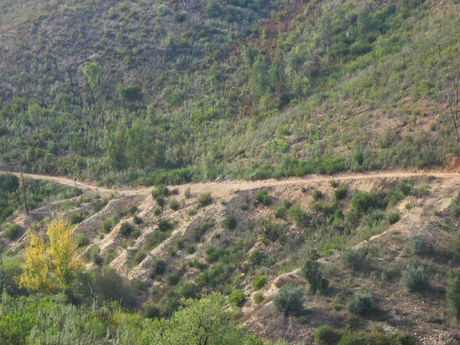 [Transpinhal_182P.jpg]