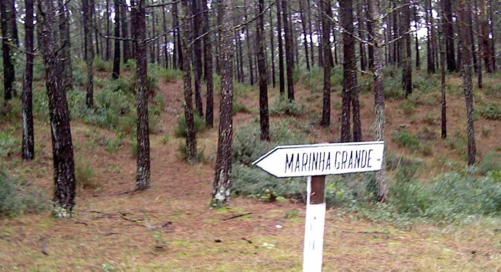 [9+corrida+spmoel.jpg]