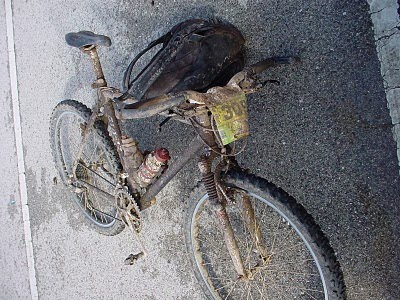 [btt+2Bbussaco+B016.jpg]