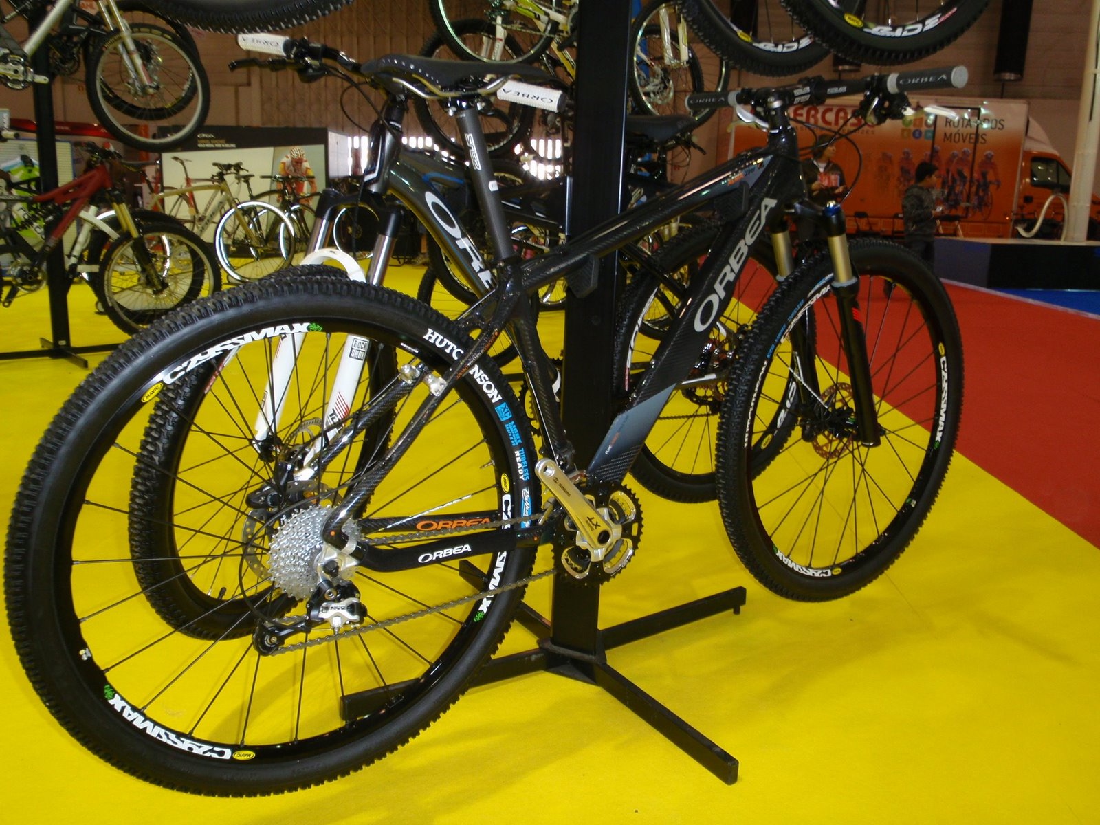 [fb_exp+29+orbea+alma.jpg]