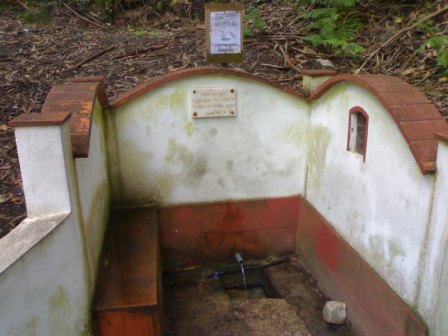 [fonte+ponte+nova.jpg]