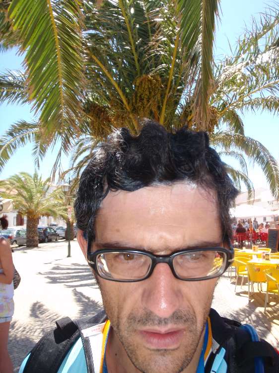 [TS+945+PALMEIRA+PENTEADO.jpg]