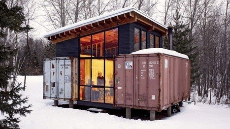 [Treehugger-stankey.jpg]