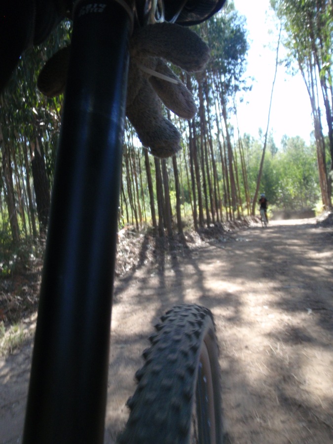 [d1+027+pneu+careca.JPG]