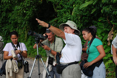 Observando Aves