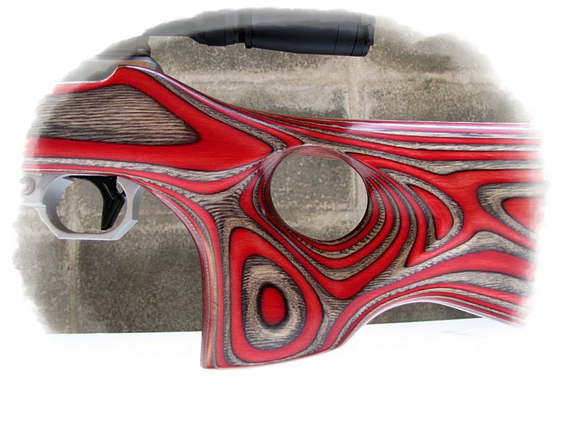 Stock Chaigun Shop Laminated Gunstock