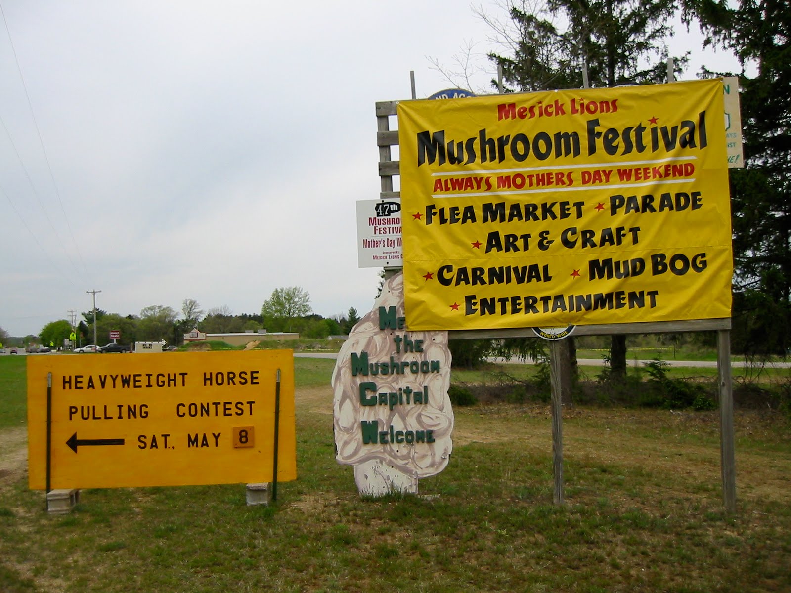 A goat walks into a bar... Moral Mushroom Festival, Mesick, Michigan