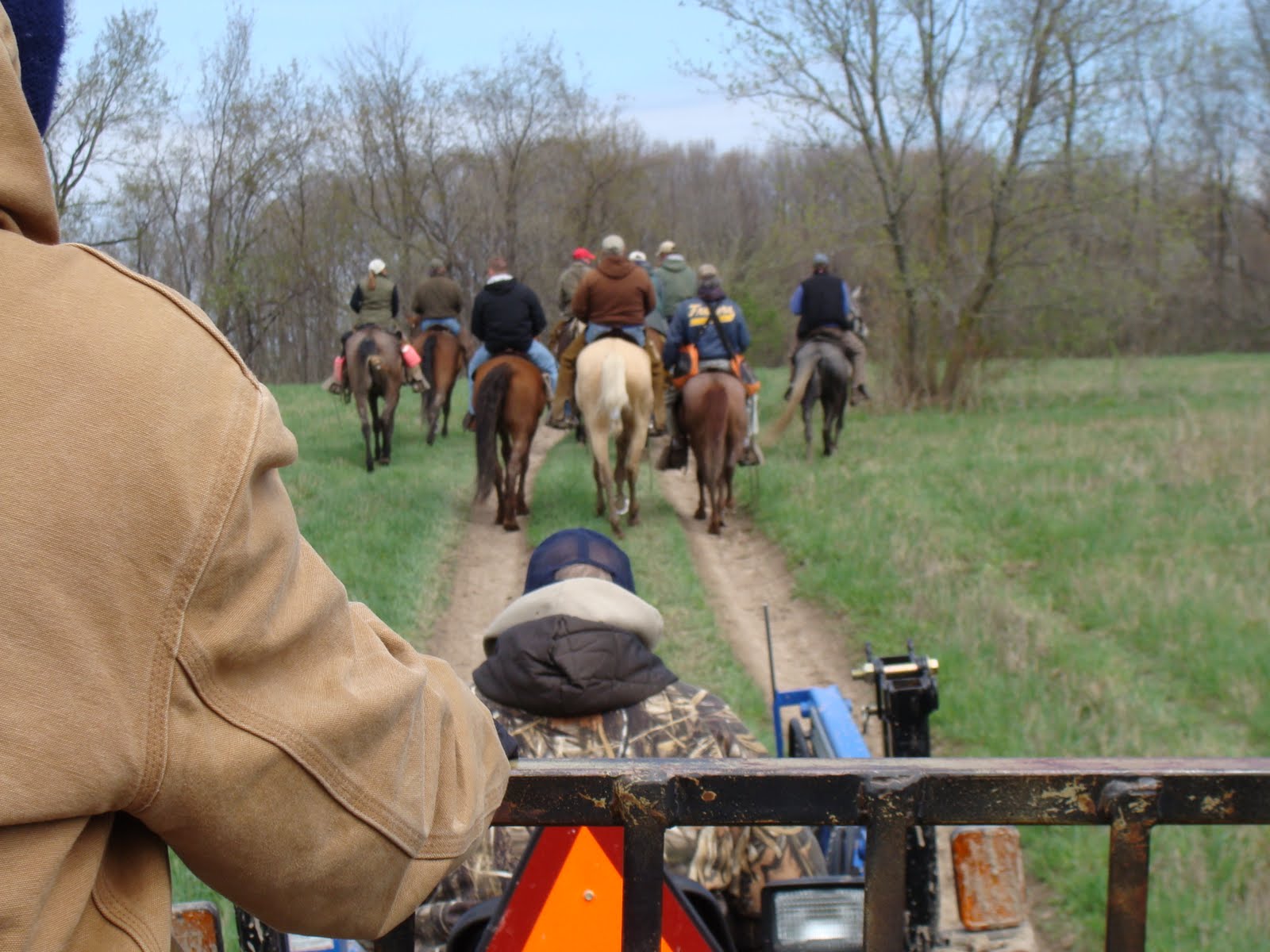 Highland Field Trial Club Michigan Championship