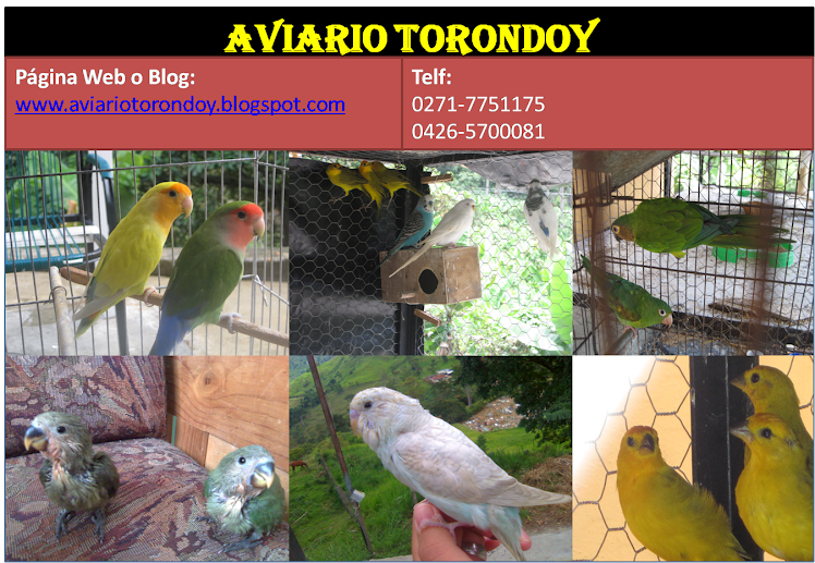 Aviario Torondoy