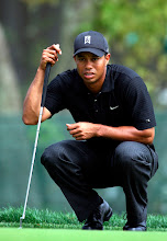 Tiger Reading the Green