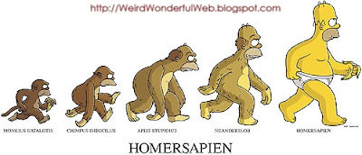 Homersapien Evolution