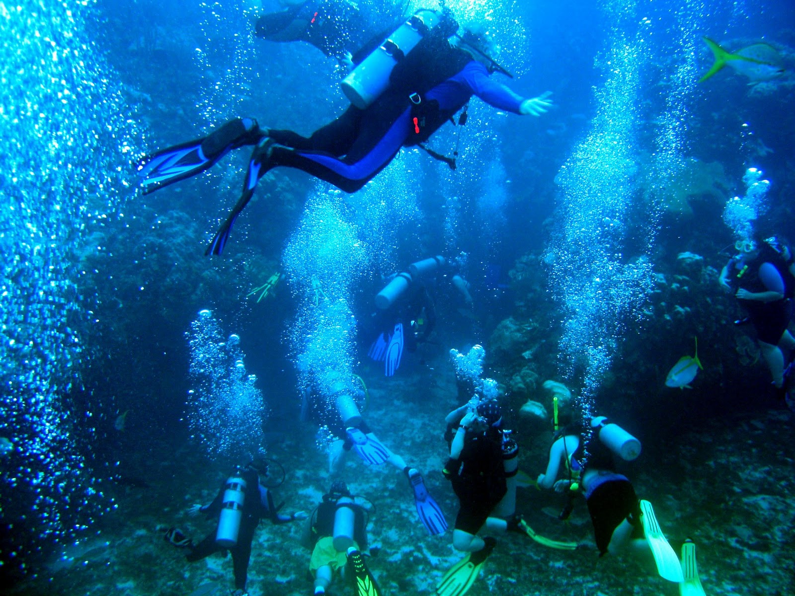 Dive Belize 25