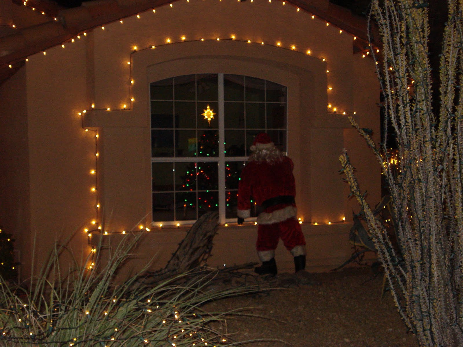 P&M Inc. Christmas Lights in Gilbert, AZ