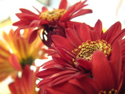 [cara+bersetubuh+pertama+kali.jpg]