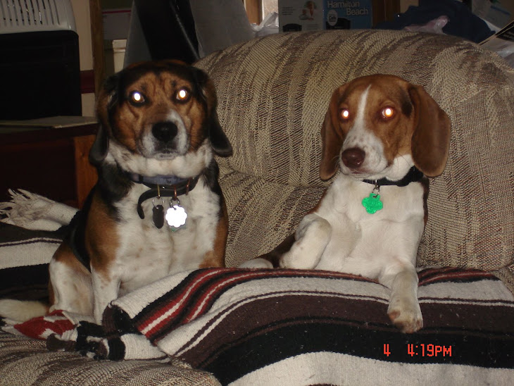 jack and cooper