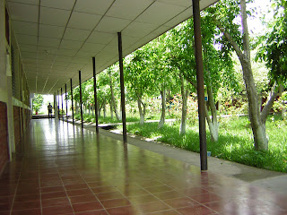 UNIVERSIDAD MONSEÑOR OSCAR ARNULFO ROMERO 