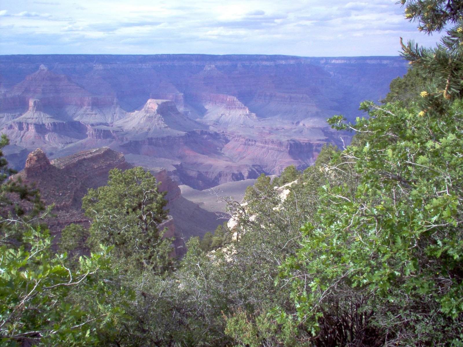 [IM000191.JPG]