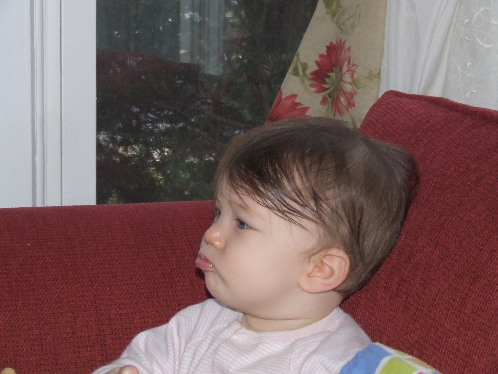 [DSCF4997.JPG]