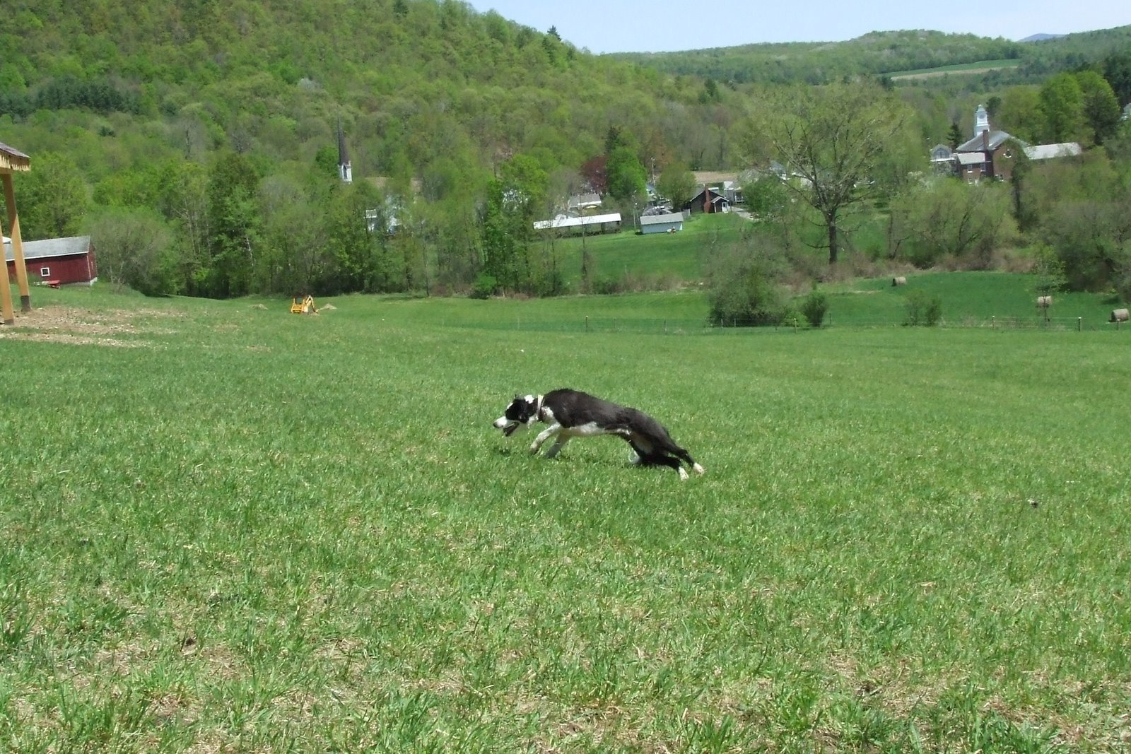 [DSCF7541.JPG]