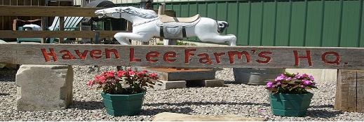 Haven Lee Farm