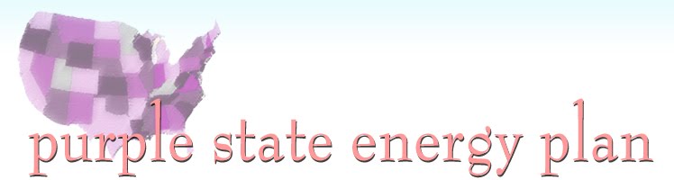 Purple State Energy Plan
