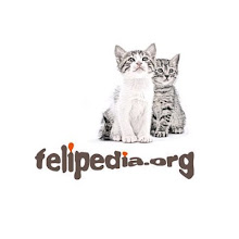 Felipedia.org