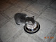 My photo