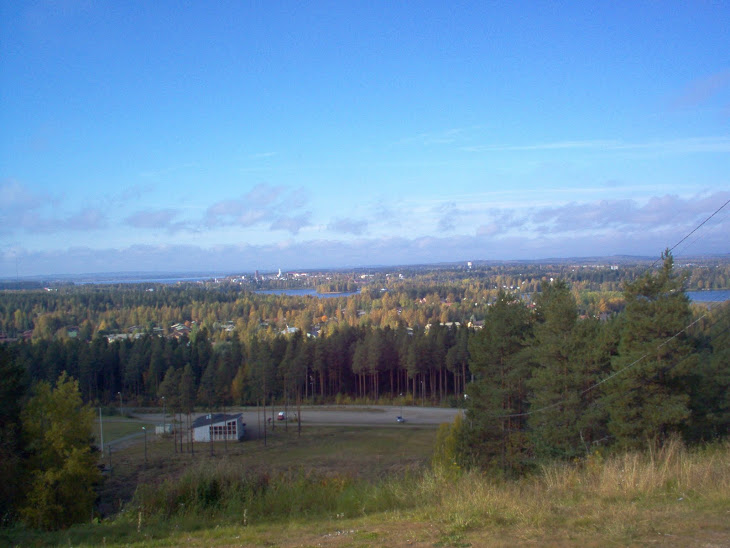Kotia ja muuta
