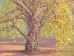 willow weeping painting poucher arboretum pastel nancy