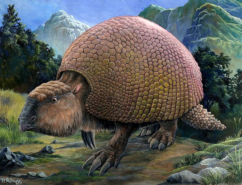 El Busto de Palas: Animales que ya no podemos ver (4ª parte) El Gliptodonte