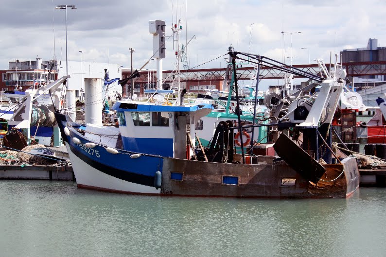 Archives maritimes Le Havre, c'est aussi un port de pêche 2/2