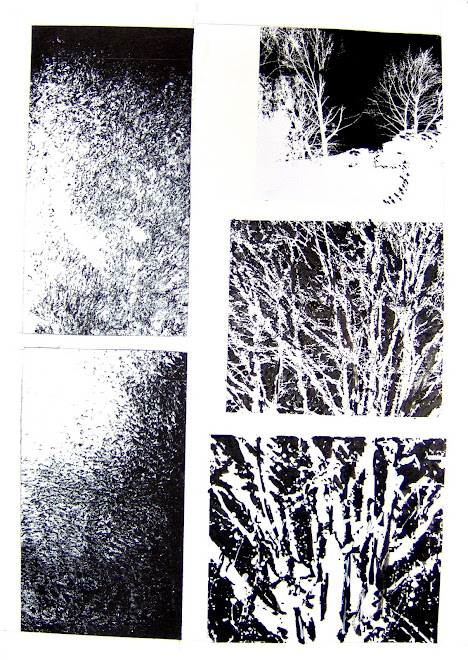Planche 44