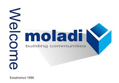 moladi construction system