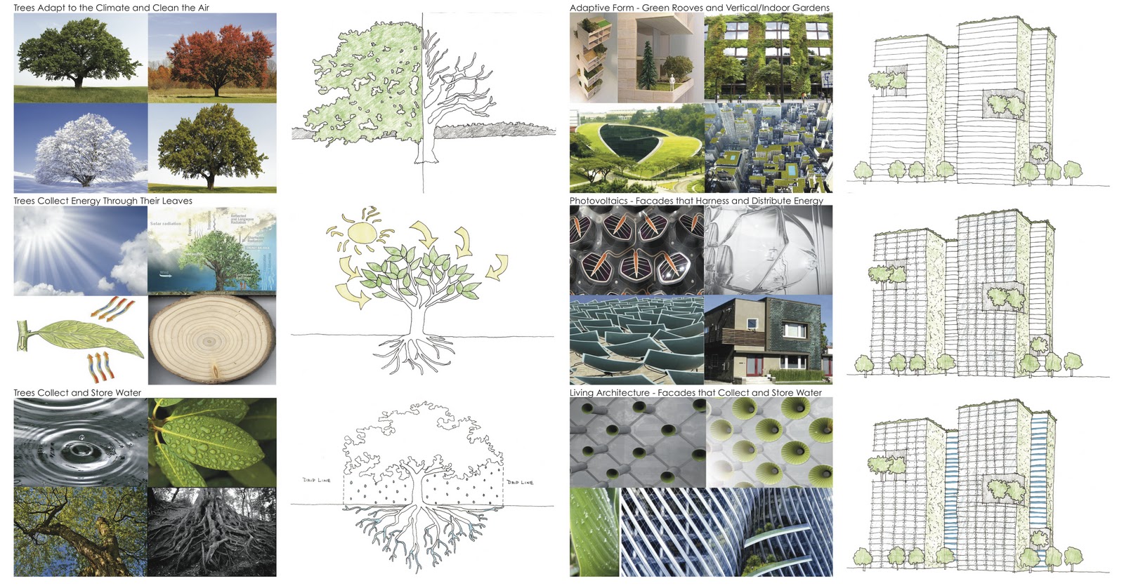 Biomimicry architecture thesis pdf picture