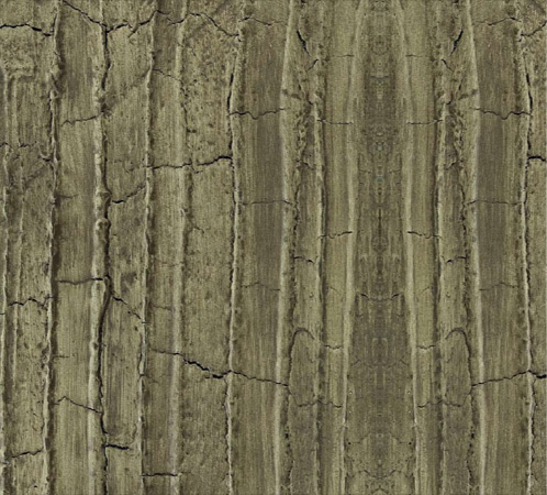 Rüya Tabirleri: RÜYADA DUVAR GÖRMEK