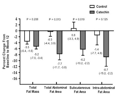 Green tea extract, exercise, and abdominal fat mass