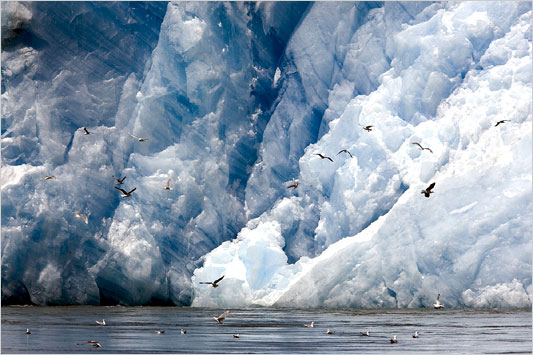 [Glacier+calving.jpg]