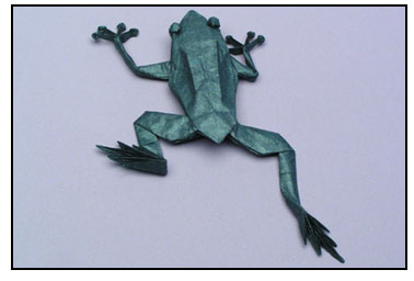 [tree_frog+origami.jpg]