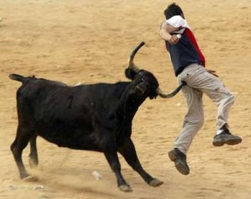 [bull+colonoscopy.jpg]