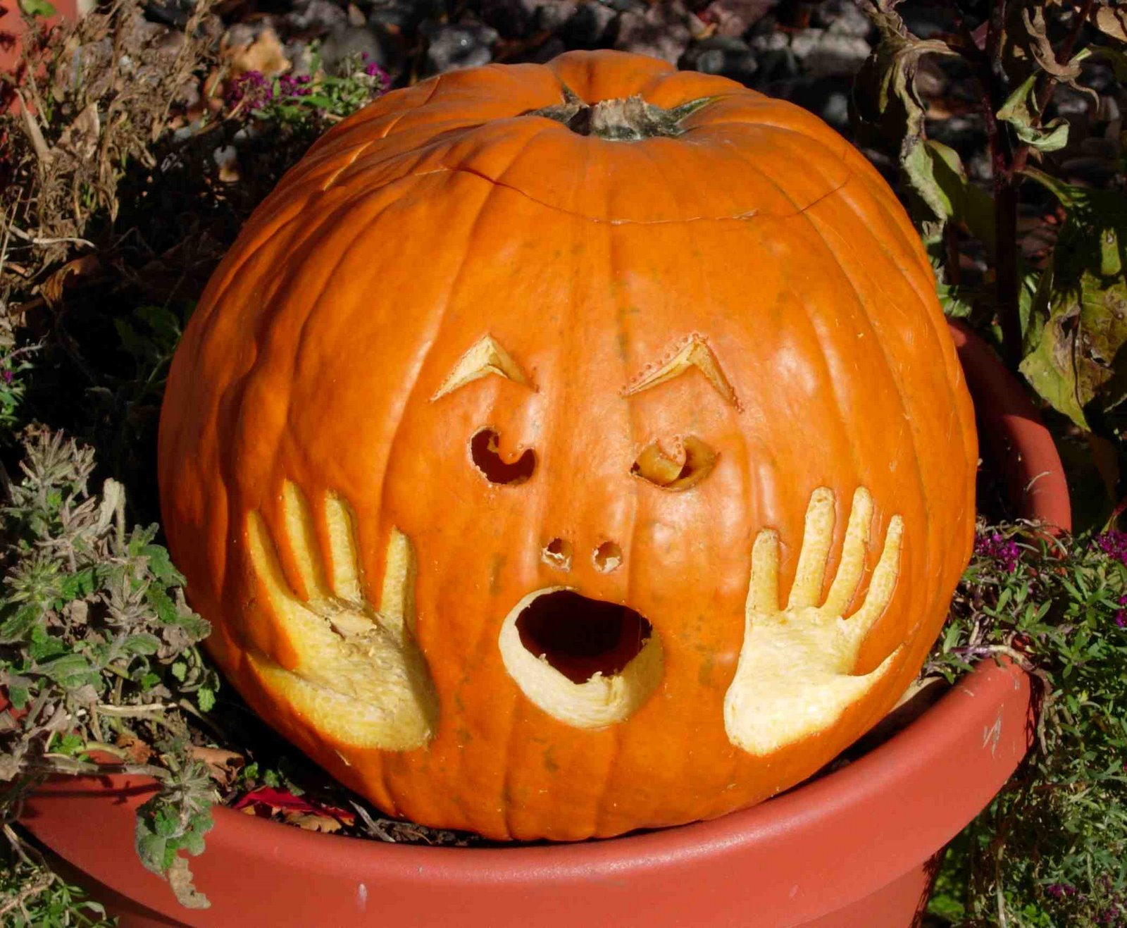 [Oh+No+pumpkin.jpg]