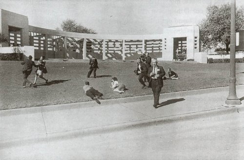 [grassy+knoll+#2.jpg]