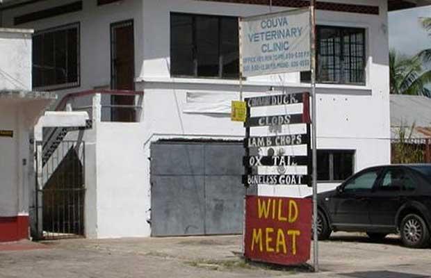 [Vet+clinic+sign.jpg]