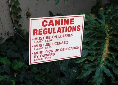 [Canine+regulations.jpg]