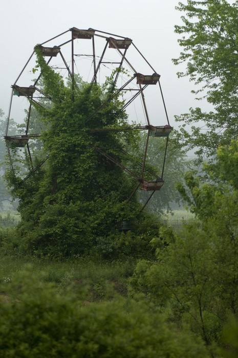 [Ferris+Wheel+maybe+kudzu.jpg]